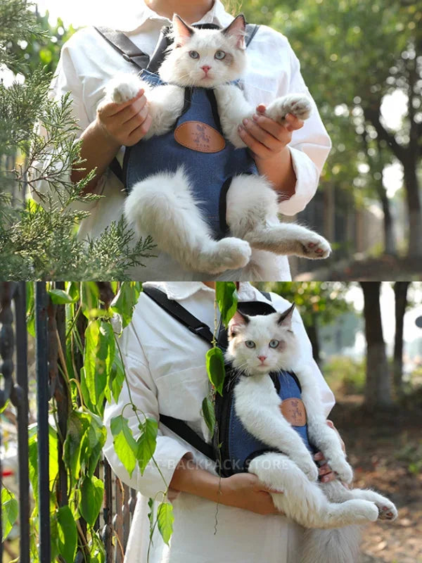 Cat Chest Carrier