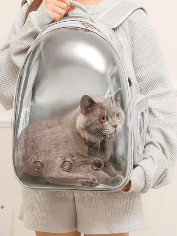 Cat Dome Backpack