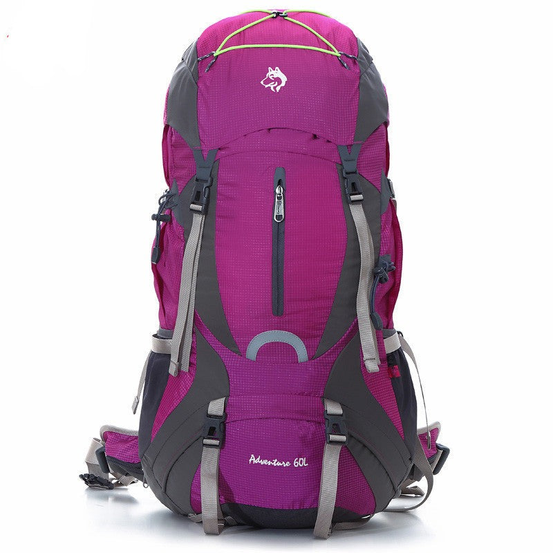 Purple Hiking Backpack