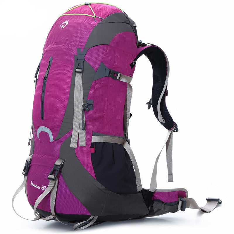 Purple Hiking Backpack