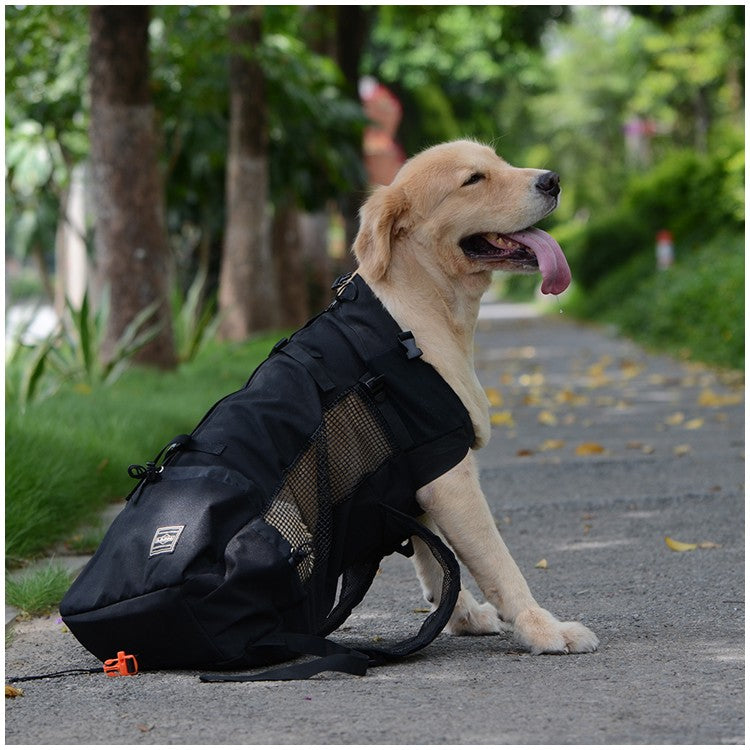 Motorcycle Dog Backpack