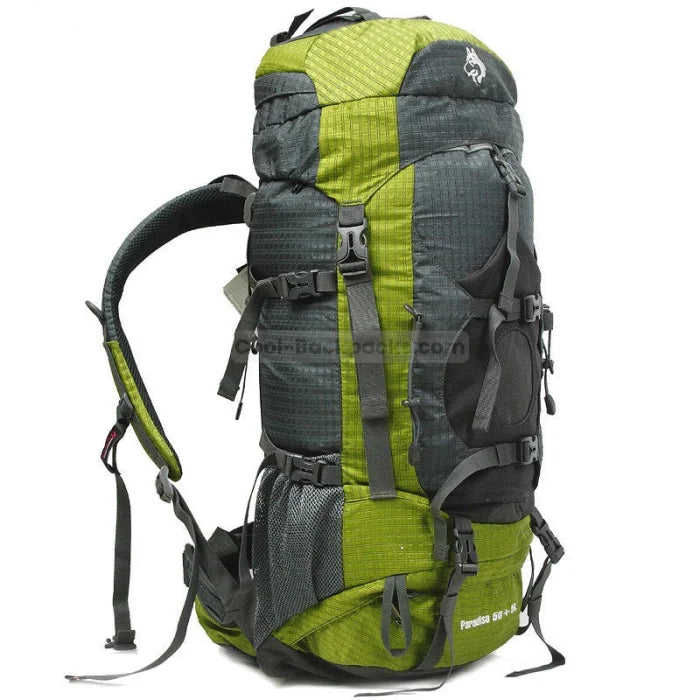 Big Hiking Backpack