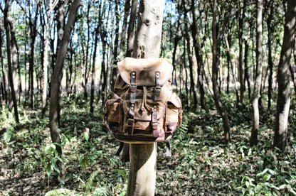 Canvas Hiking Backpack