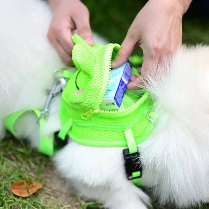 Frog Backpack Leash