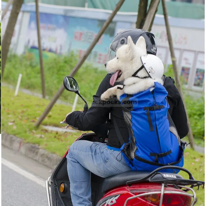 Motorcycle Dog Backpack