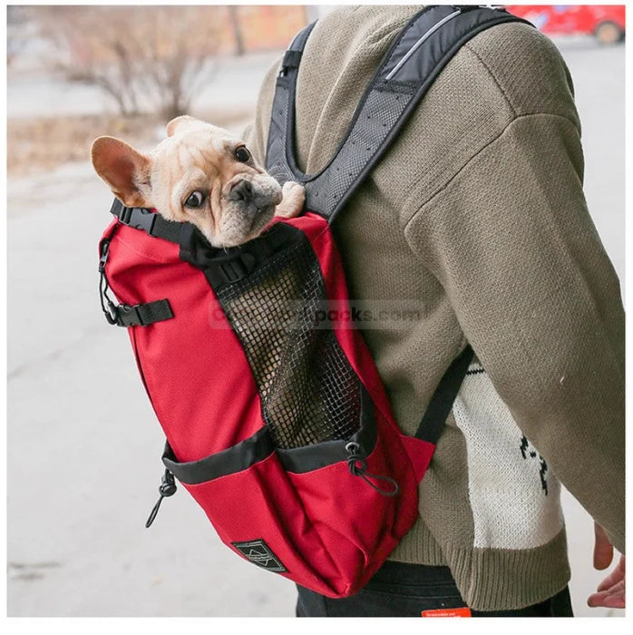 Motorcycle Dog Backpack