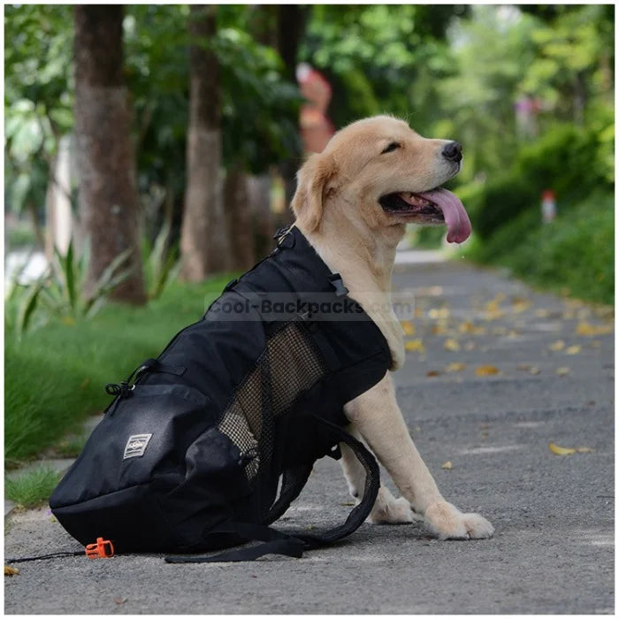 Motorcycle Dog Backpack - Black / S(1-4kgs)