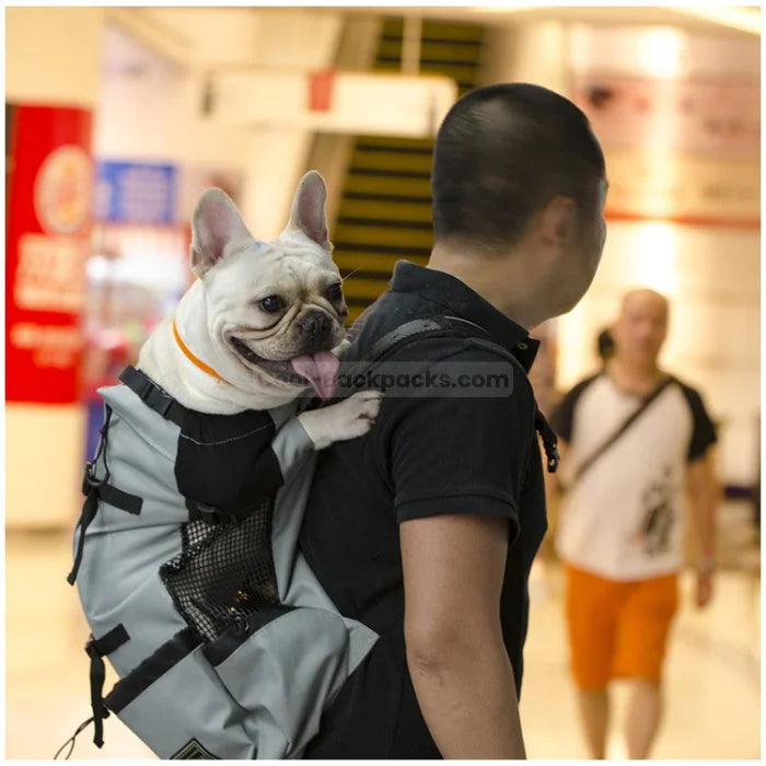 Motorcycle Dog Backpack - Grey / S(1-4kgs)