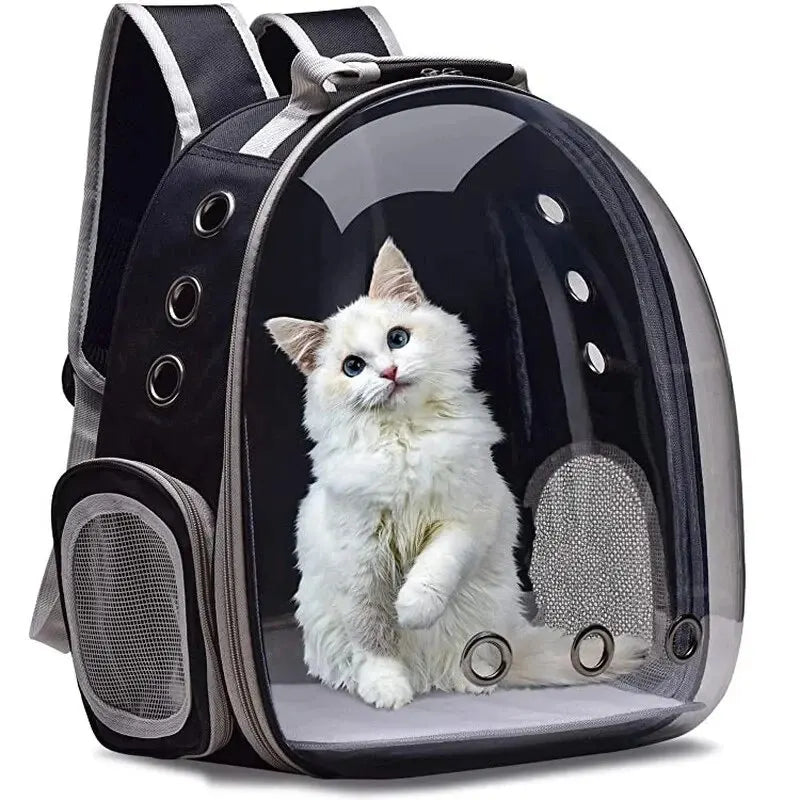 Motorcycle Cat Backpack