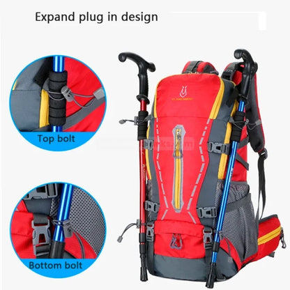 Red Ski Backpack