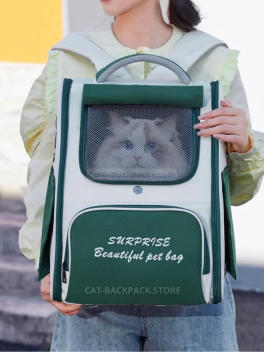 Adventure Cat Backpack