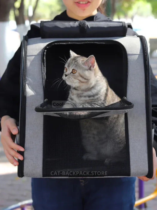 Big Cat Backpack Carrier