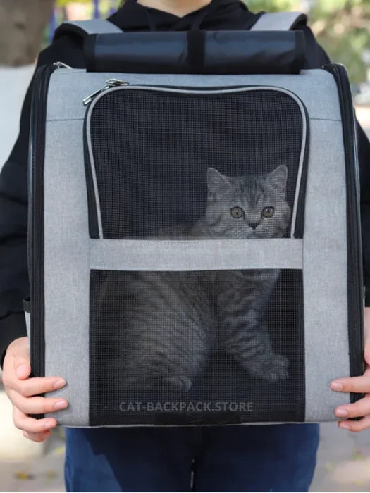 Big Cat Backpack Carrier