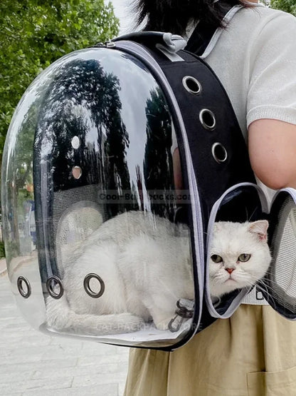 Cat Dome Backpack