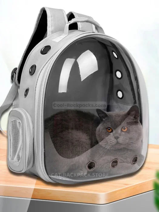 Cat Dome Backpack