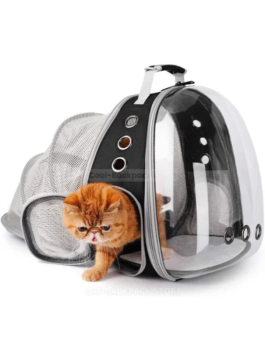 X-Large Cat Backpack